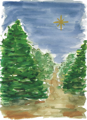 Bos - Nikki van Leeuwen